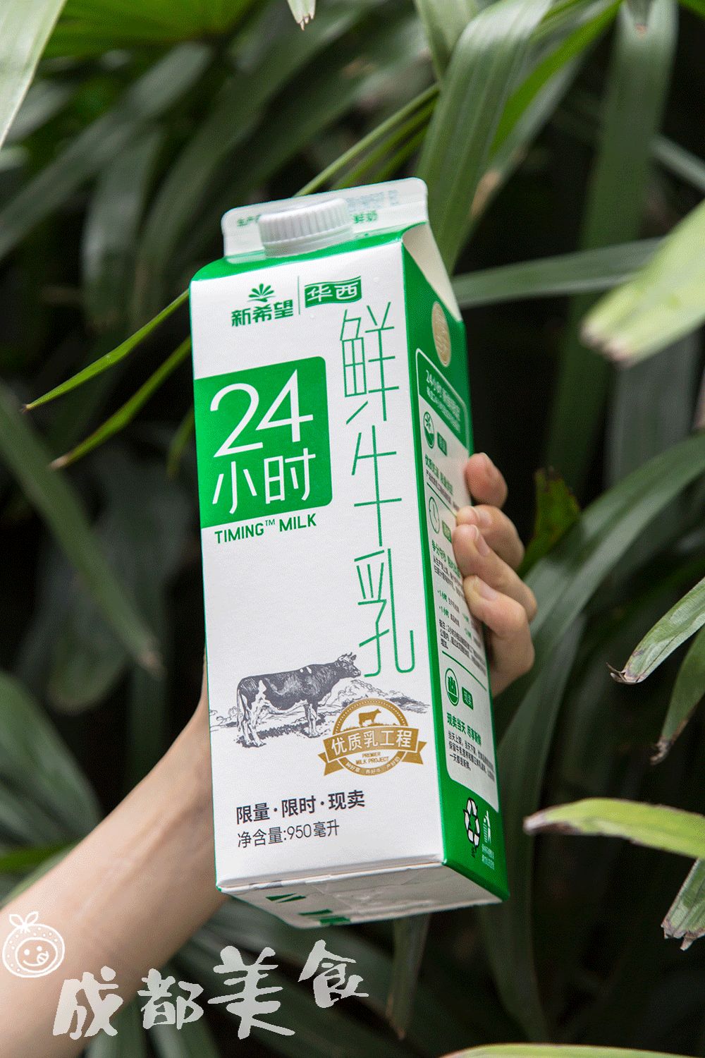 24小时系列 |每次去超市都要买一些新鲜牛奶,天天都要喝.
