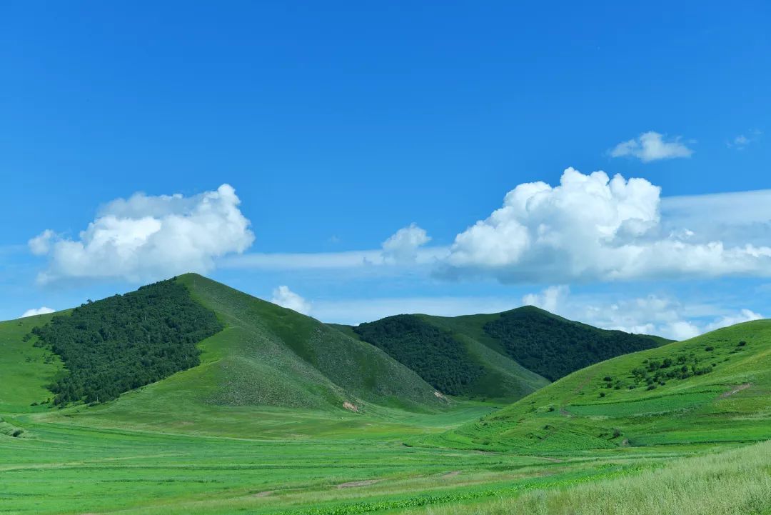 誰說草原風景長得都一樣夏季氣溫不超25的度假勝地皇上至愛的避暑勝地