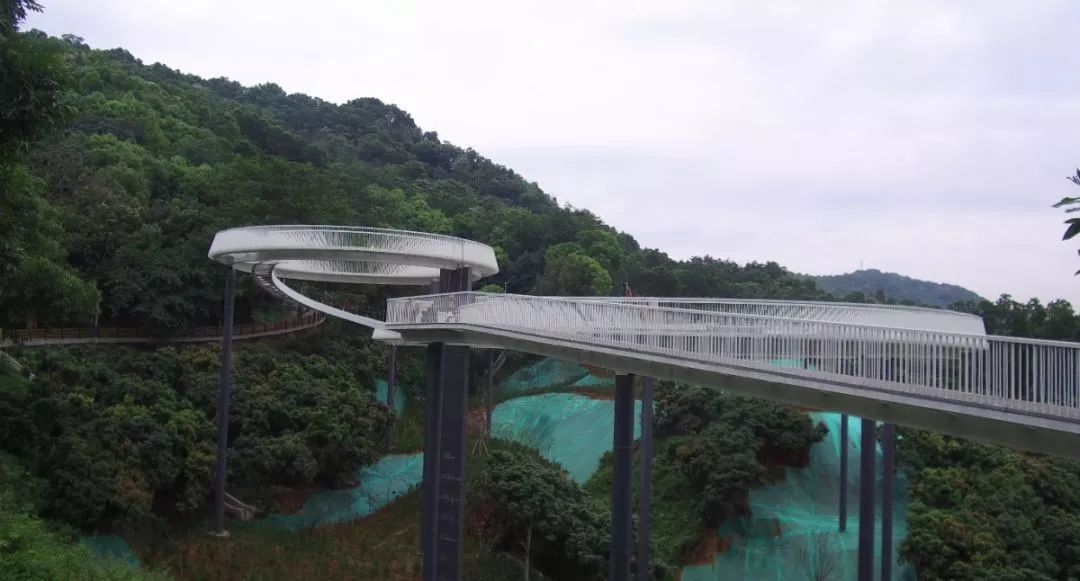 关注终于等到你光明小镇绿道网红三桥来啦