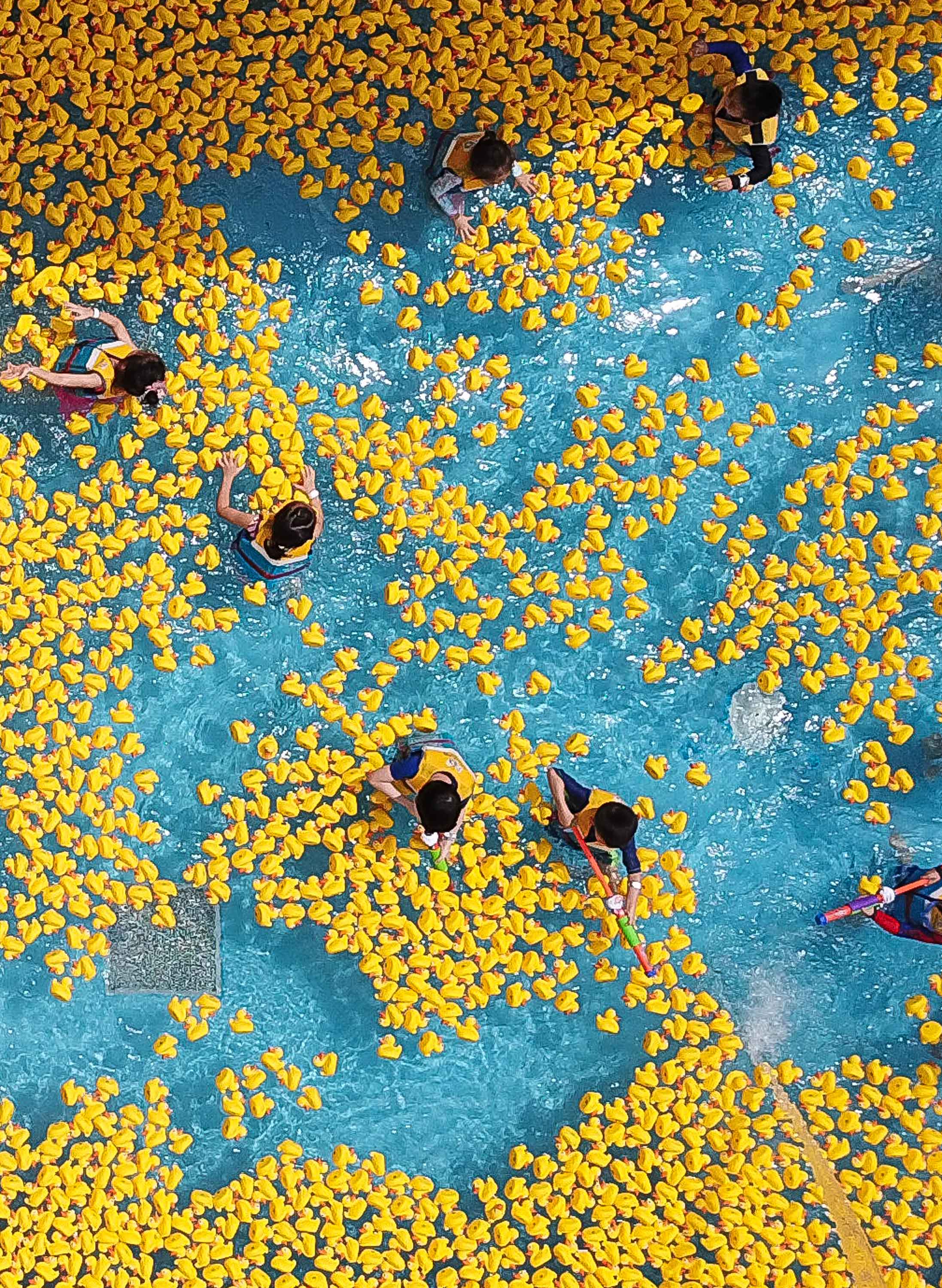 广州:与小黄鸭同戏水