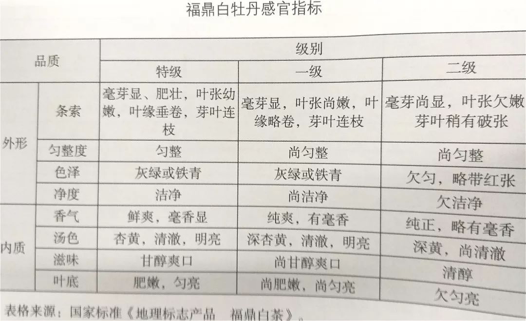 看到评委们通过看,闻,尝等方式,认真审评茶干色泽外形,茶叶汤色,香气