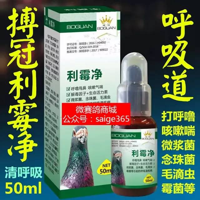 经验清理鸽子呼吸道的神器