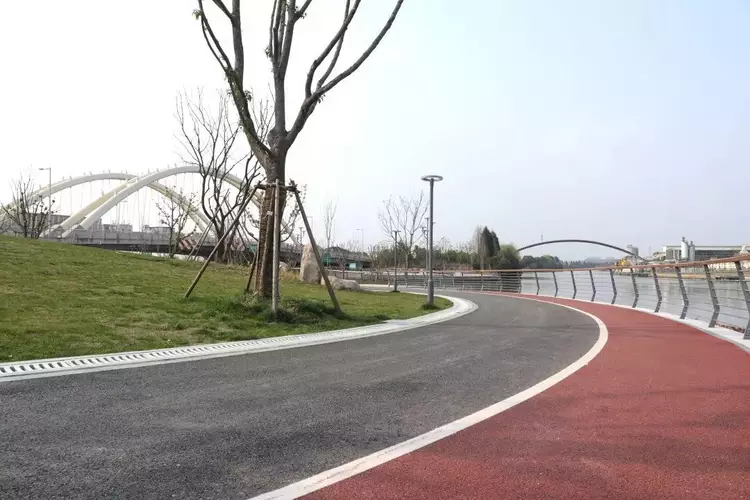 来青浦这些地方甩肉吧!_公园