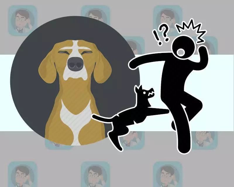 注射狂犬疫苗次日死亡,这种引发悲剧的狂犬病