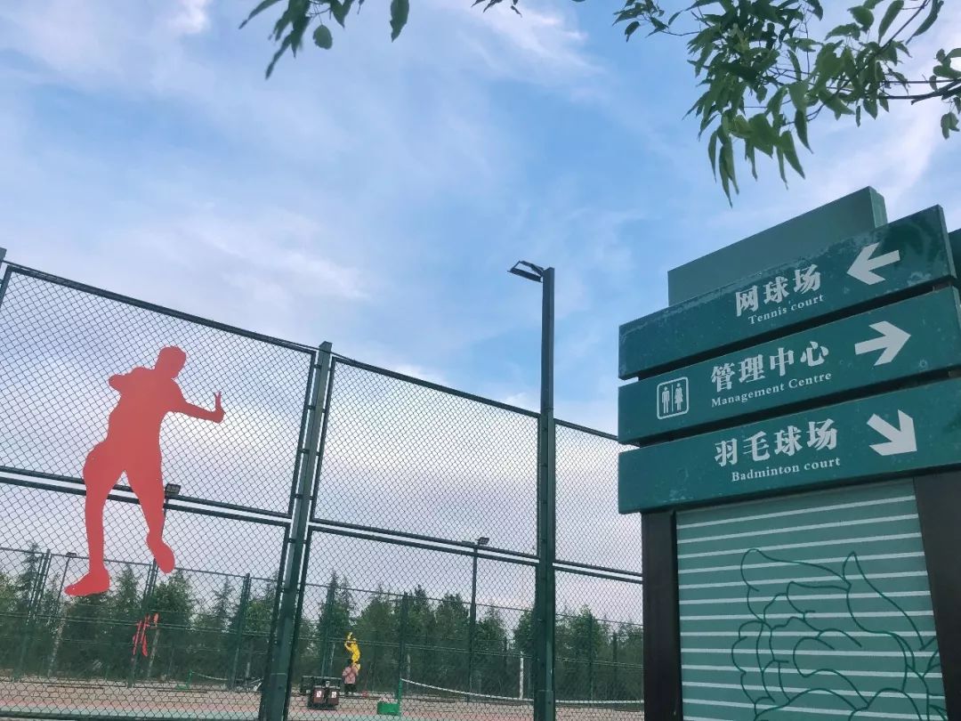 免费洛阳城中心30万㎡体育公园堪称遛娃胜地刚开放就成抖音网红