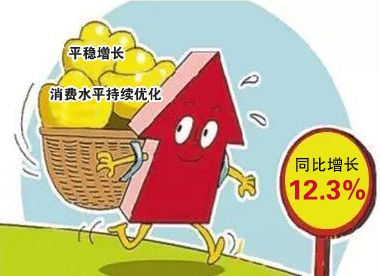 一季度我市农村居民生活消费持续优化_支出