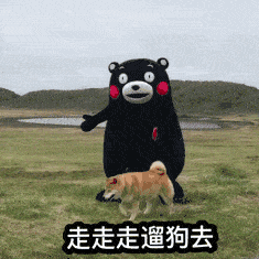 摸着良心举爪爪有的话举个爪在座的铲屎官有健身的吗喵姐今天来做个