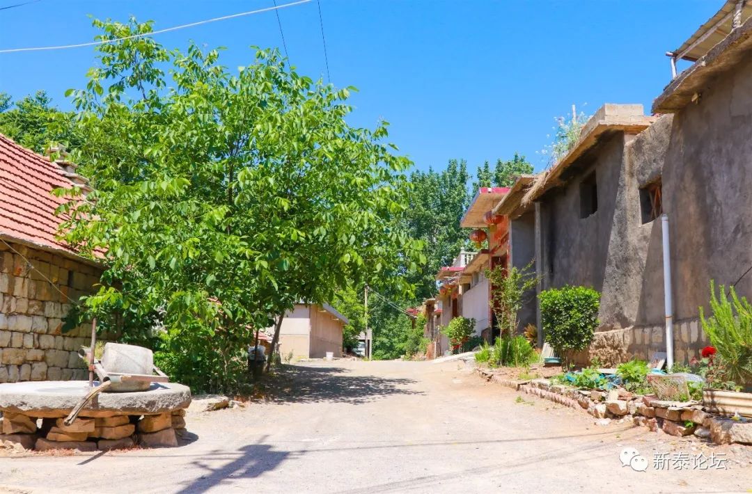 大美新泰汶南镇许庄村