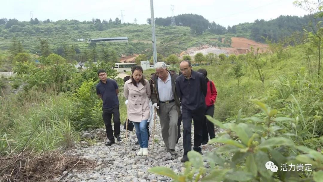 县委政府主要领导到贵定县北京世界之巅展览中心项目拟建地调研