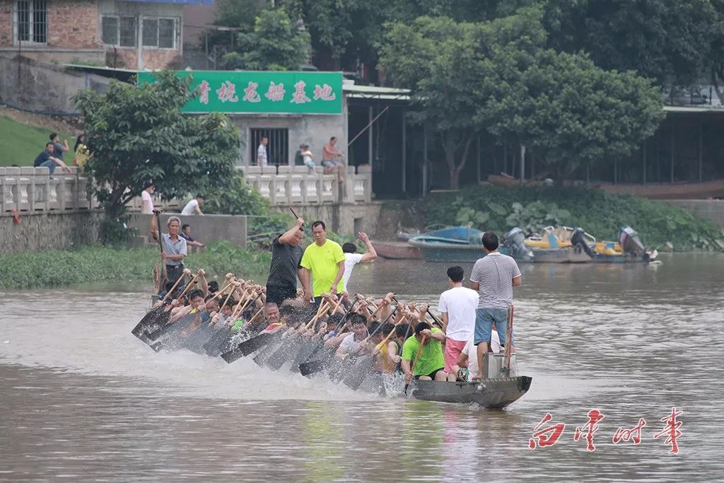 50条龙舟齐上阵今年端午鸦湖龙舟景将上演群龙争霸