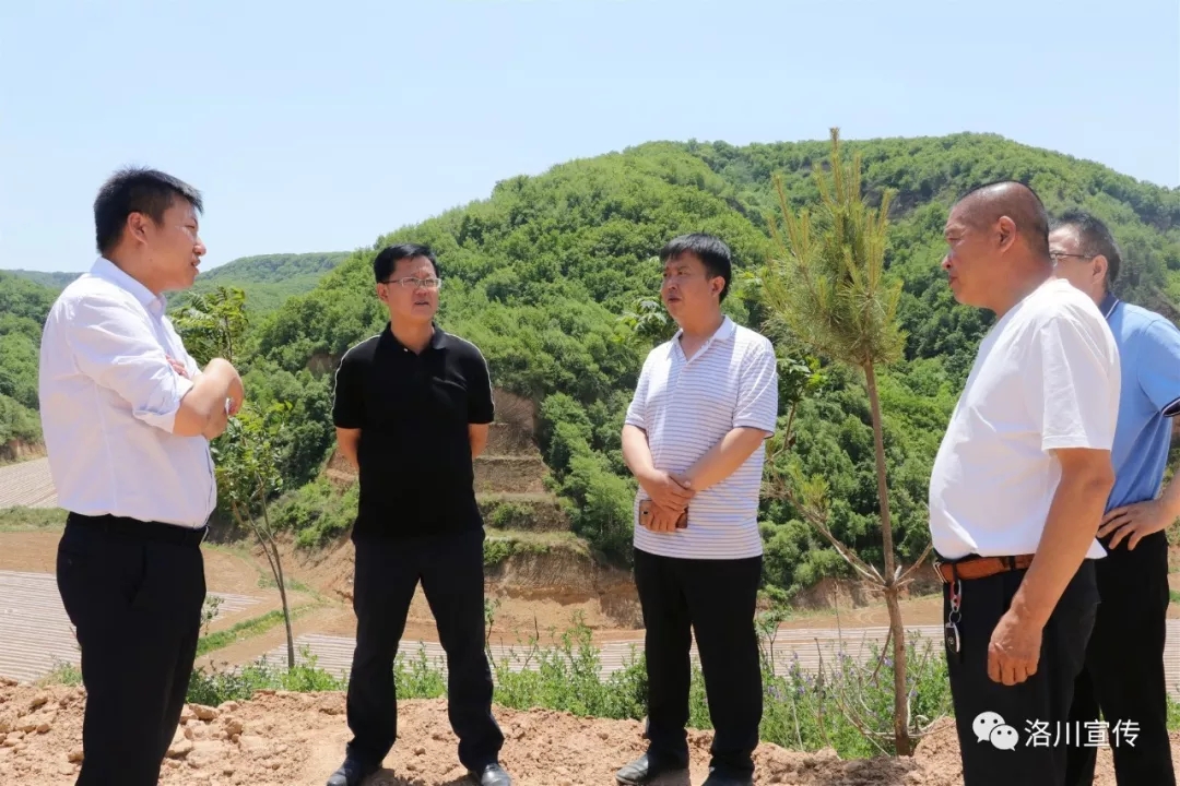 张继东调研城市棚户区改造和旧县镇农业农村工作