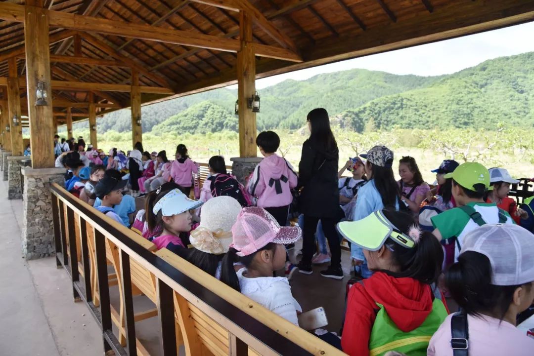 翰墨小学刘晓宇照片图片