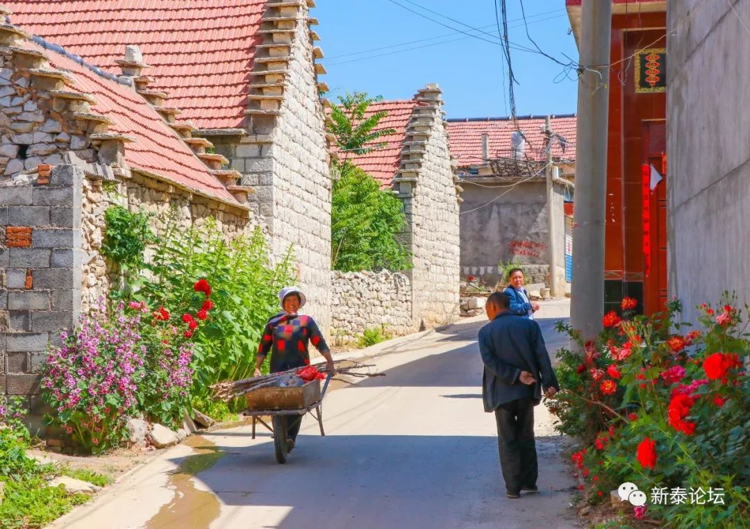 大美新泰汶南镇许庄村