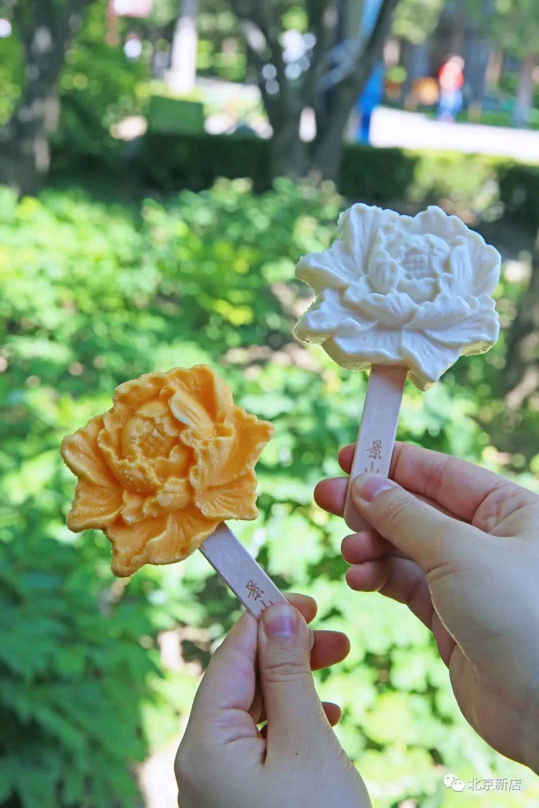 景山出冰棍儿了嘿!还有限定北冰洋_牡丹
