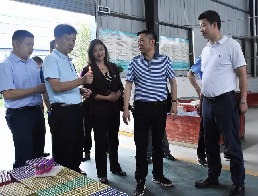 市人大执法检查组到大龙检查《就业促进法》贯彻实施情况_开发区