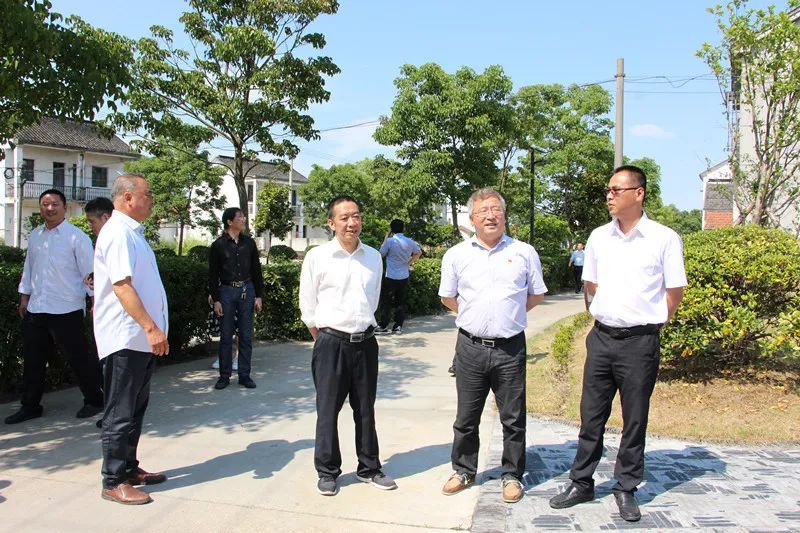 创森丨省级森林城镇预检组到西塘镇预检浙江省森林城镇创建情况