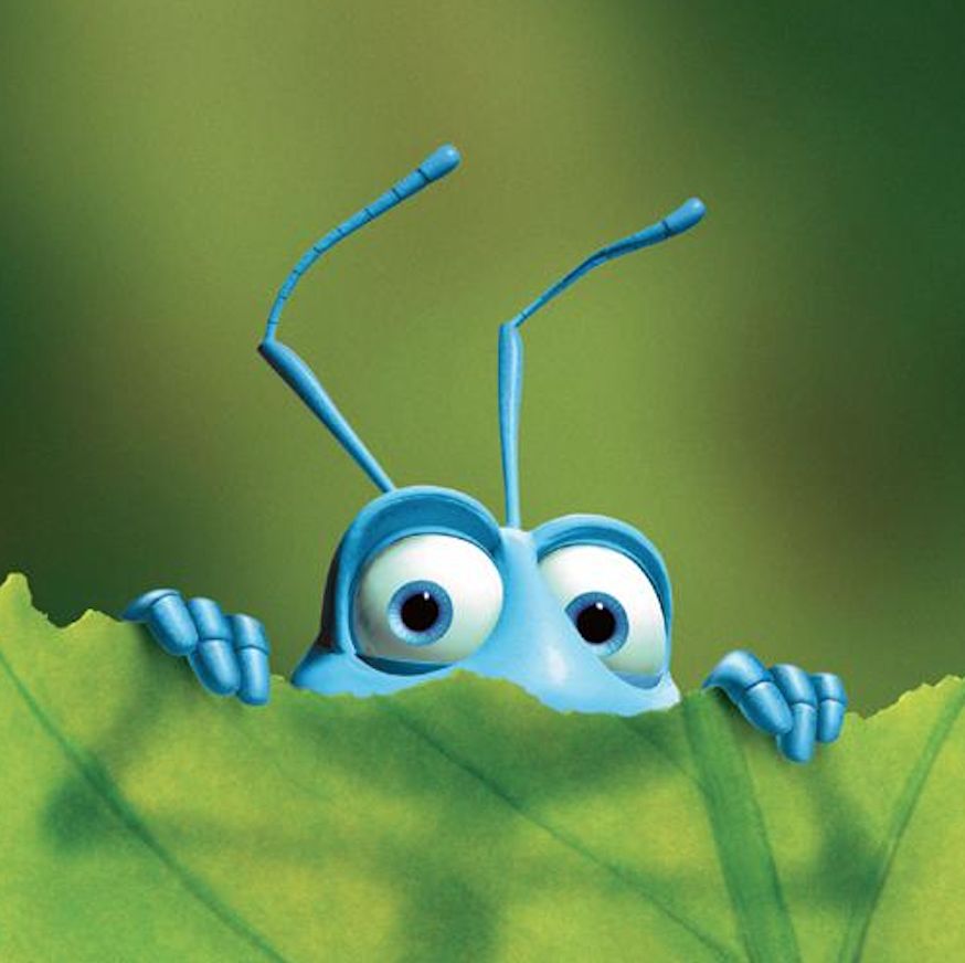 你家的角落生活着100种虫子