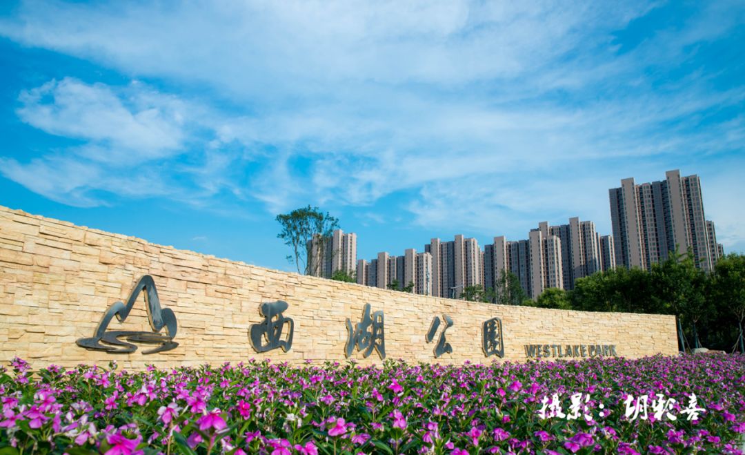 一篇文章带你读懂今日的三山!_三山区