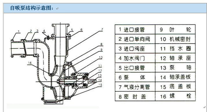 自吸泵,zx卧式单级自吸泵,自吸泵材质,自吸泵吸程,卧式自吸泵结构示意