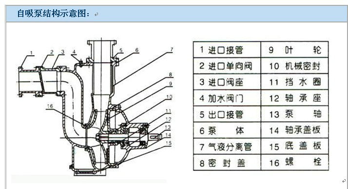 自吸泵结构图及原理图片