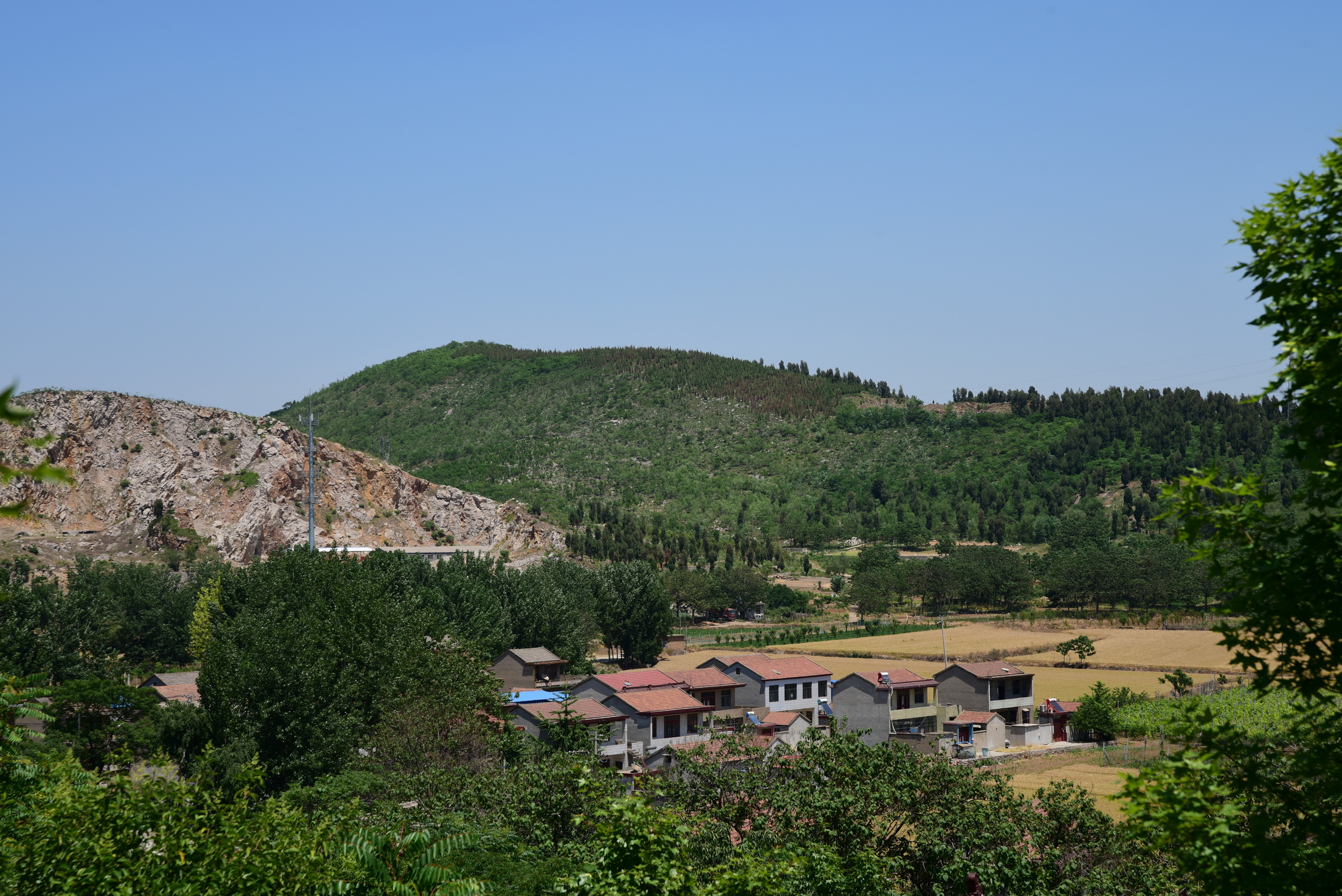 徐州重点发展茅村镇图片