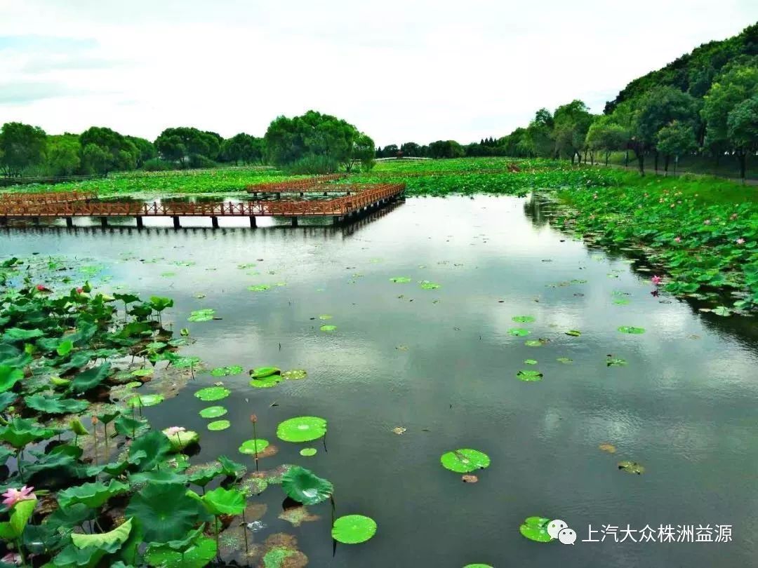 益源車友相約洪湖自駕之旅圓滿落幕