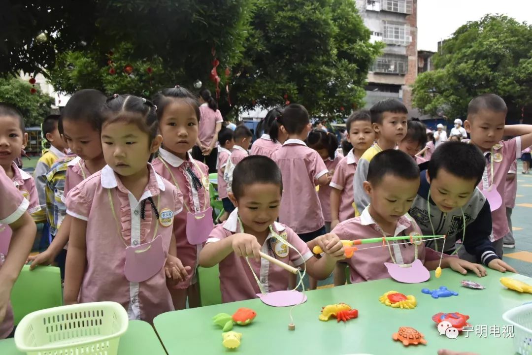 宁明求职市场：机遇与挑战并存