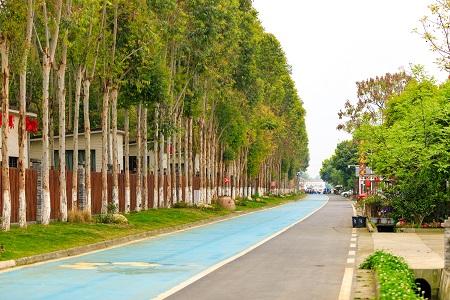 天府綠道自行車騎行活動即將登場騎聚戰旗換種方式看風景