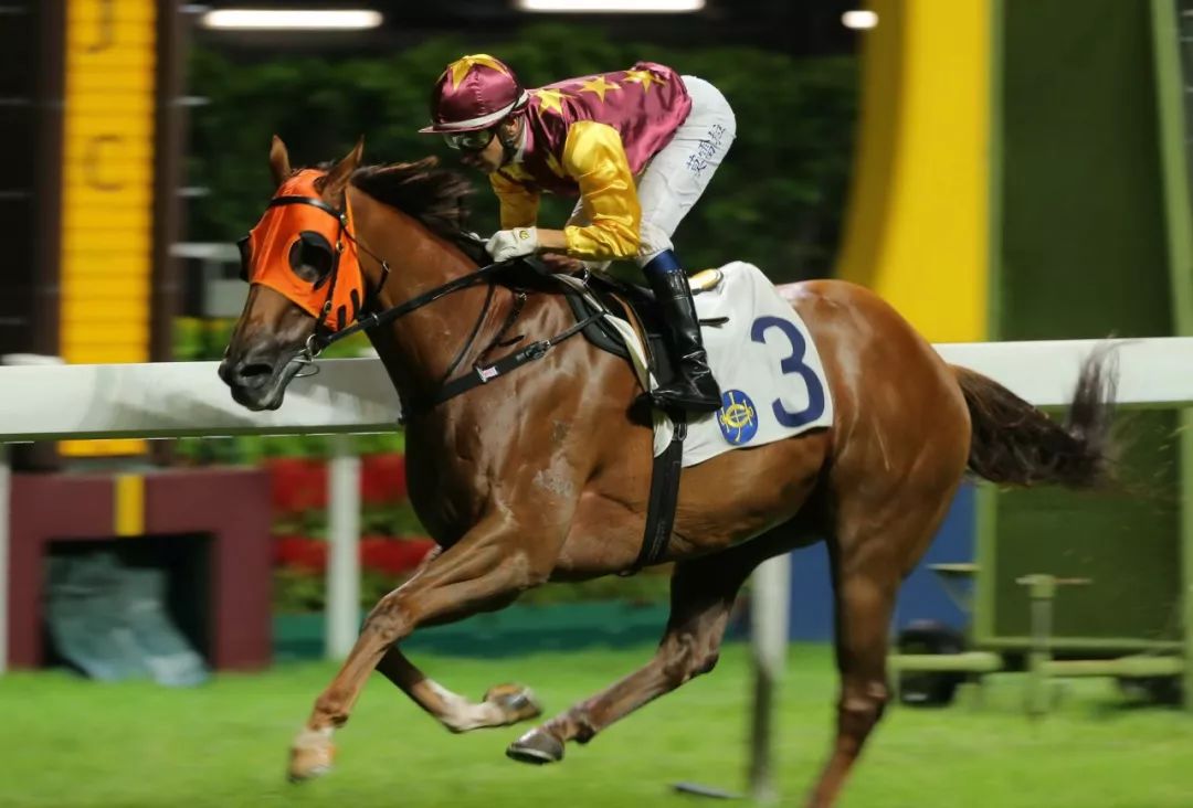 跑马地赛事莫雷拉4w威尽快活谷