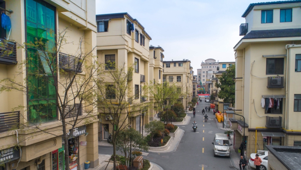 古荡街道益乐新村拥抱美丽