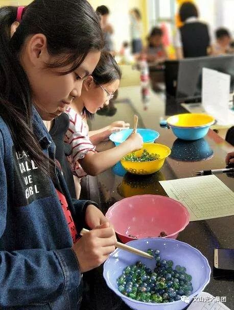 入龙珠：走进数字化世界的奇妙之旅