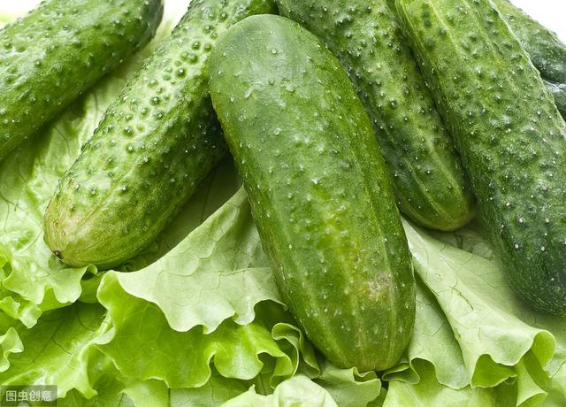 广西田林一根根胖黄瓜助农民脱贫增收