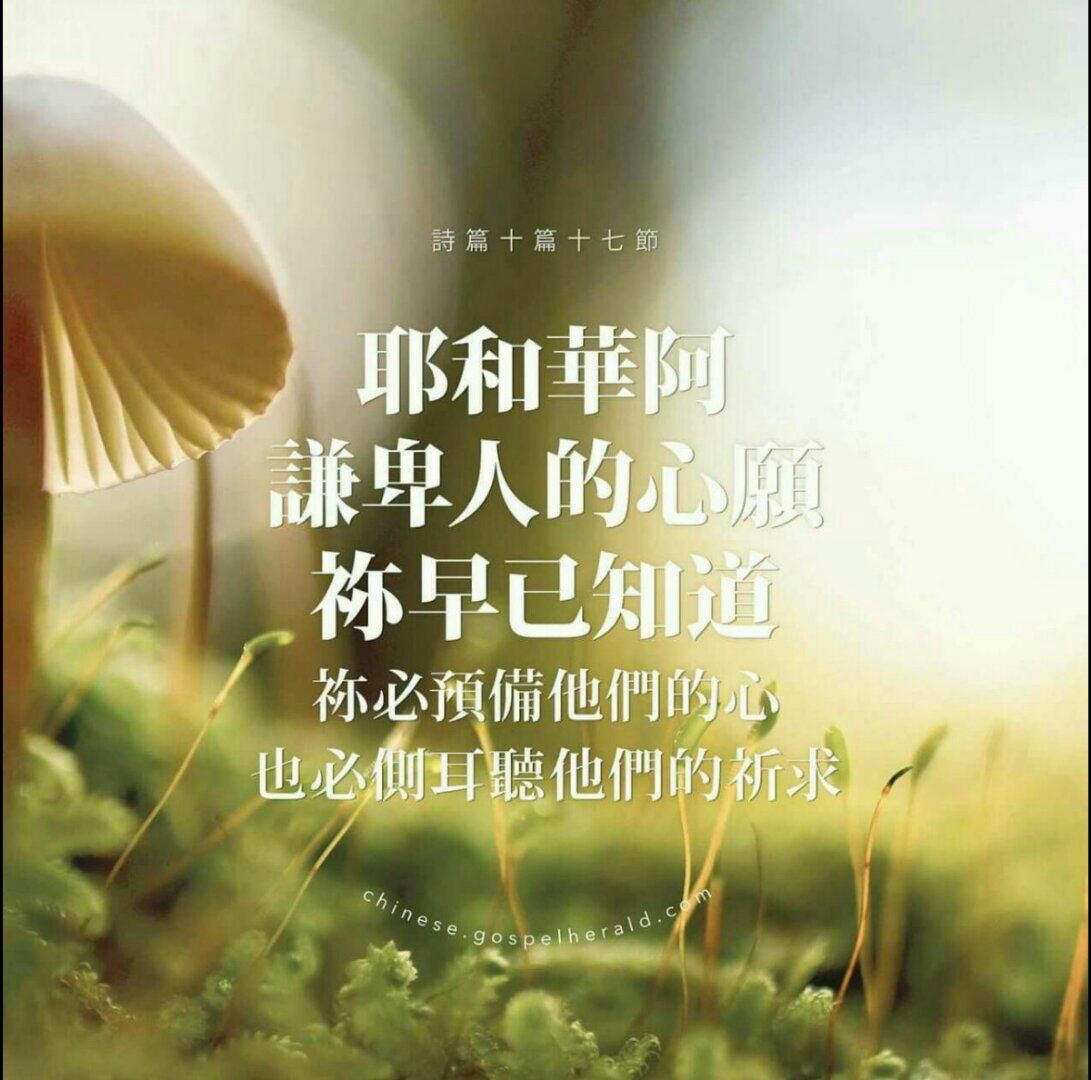 他服侍人,让人深得安慰!