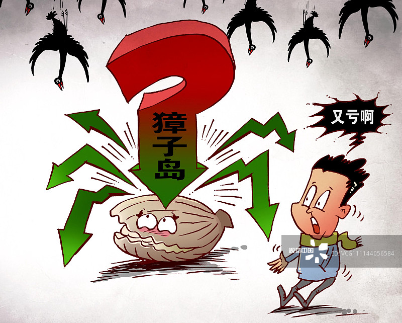 獐子岛扇贝跑路第三季是虾夷扇贝底播面积减少