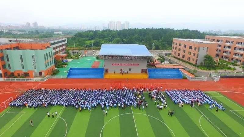 杨村镇党委书记李俊锋同志讲话县教科体局党委书记陈乐文同志讲话龙南