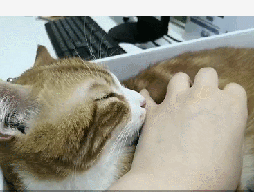 367_278gif 动态图 动图