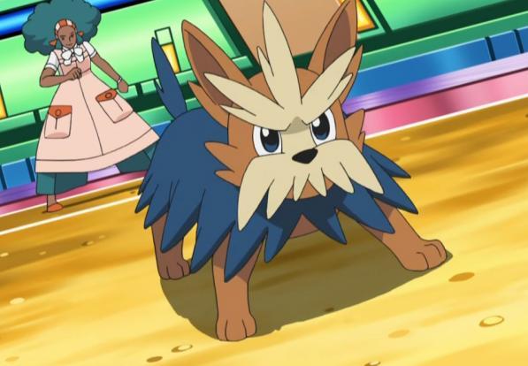 精灵宝可梦图鉴507和人类生活了很长时间的精灵哈约克