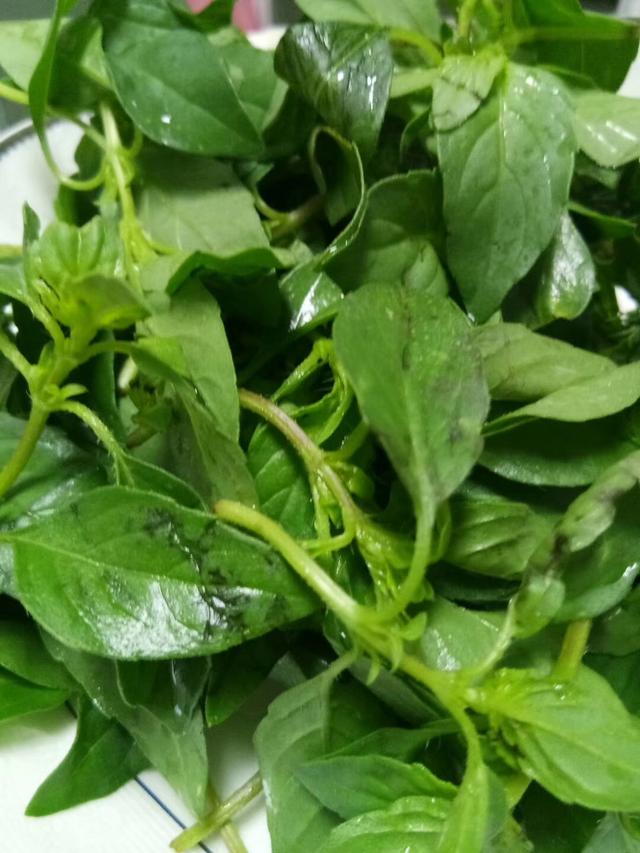 临颍大妈手工烙菜馍,皮薄馅多,孩子们都吃不够!_粉条