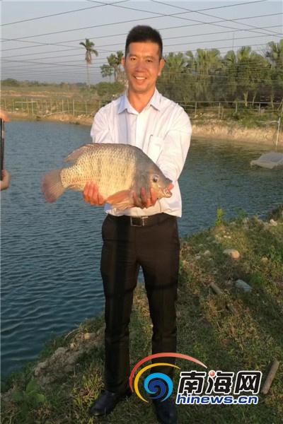 50余万亩池塘养鱼人霸气支撑罗非鱼产业