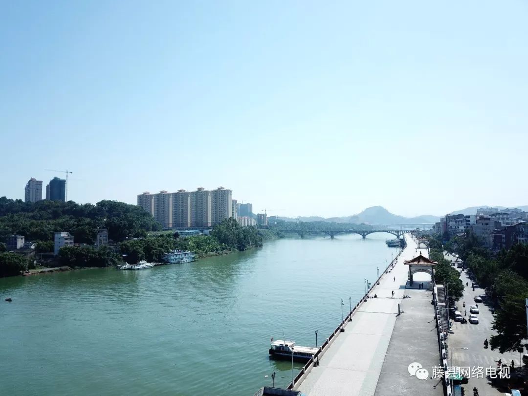 藤县向全世界发出邀请函这场盛宴邀您共享