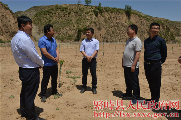 崔峥岭在砂河镇调研督导脱贫攻坚巩固提升工作