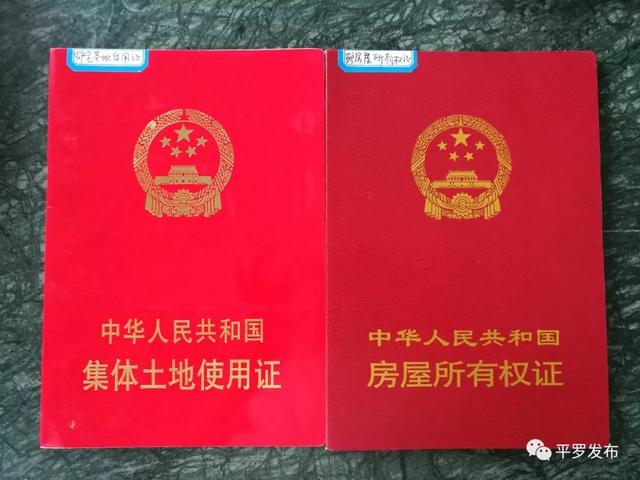 集体产权制度改革为庙庙湖村脱贫蹚新路
