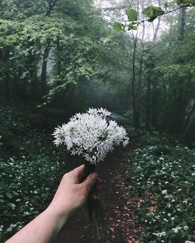 獨處,是一個人的清歡_梭羅