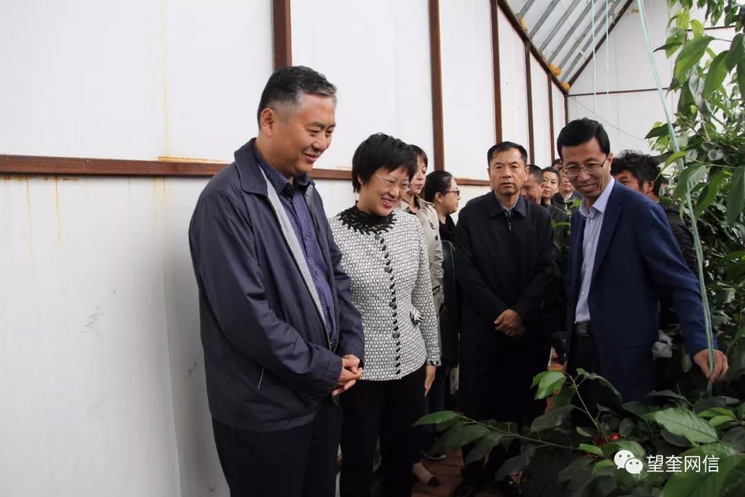 民族地区发展情况进行调研,市委常委,统战部长路百胜,县委书记单伟红