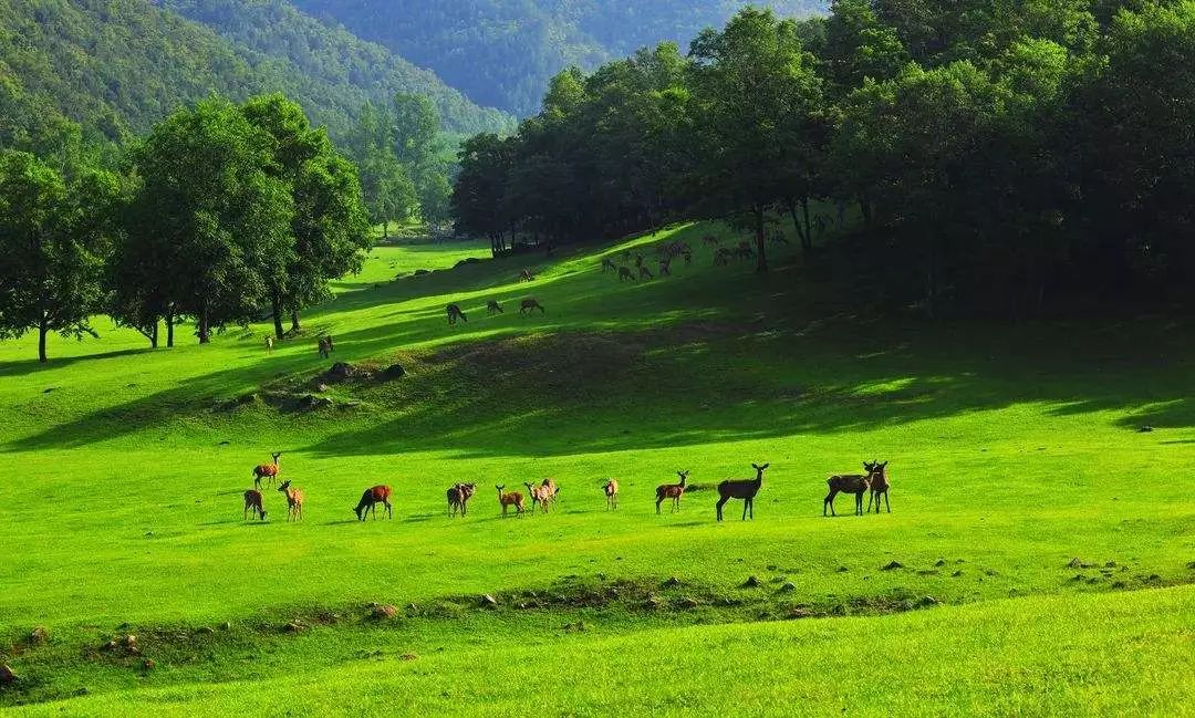 六一金山小镇伴你童行