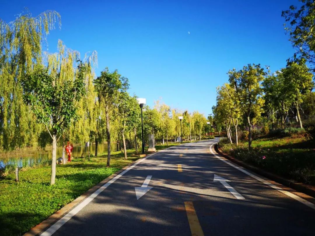 楚雄彝海公園//站在西山山頂俯瞰,滿眼盡是濃濃綠意,湖光山色盡收