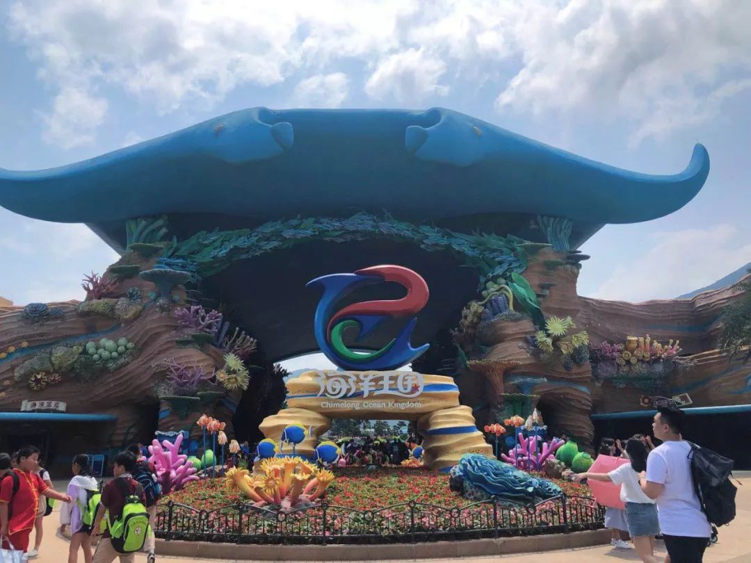 夜宿珠海长隆海洋王国鲸鲨馆亲手摸水母救搁浅的海豚做个真正的海洋小