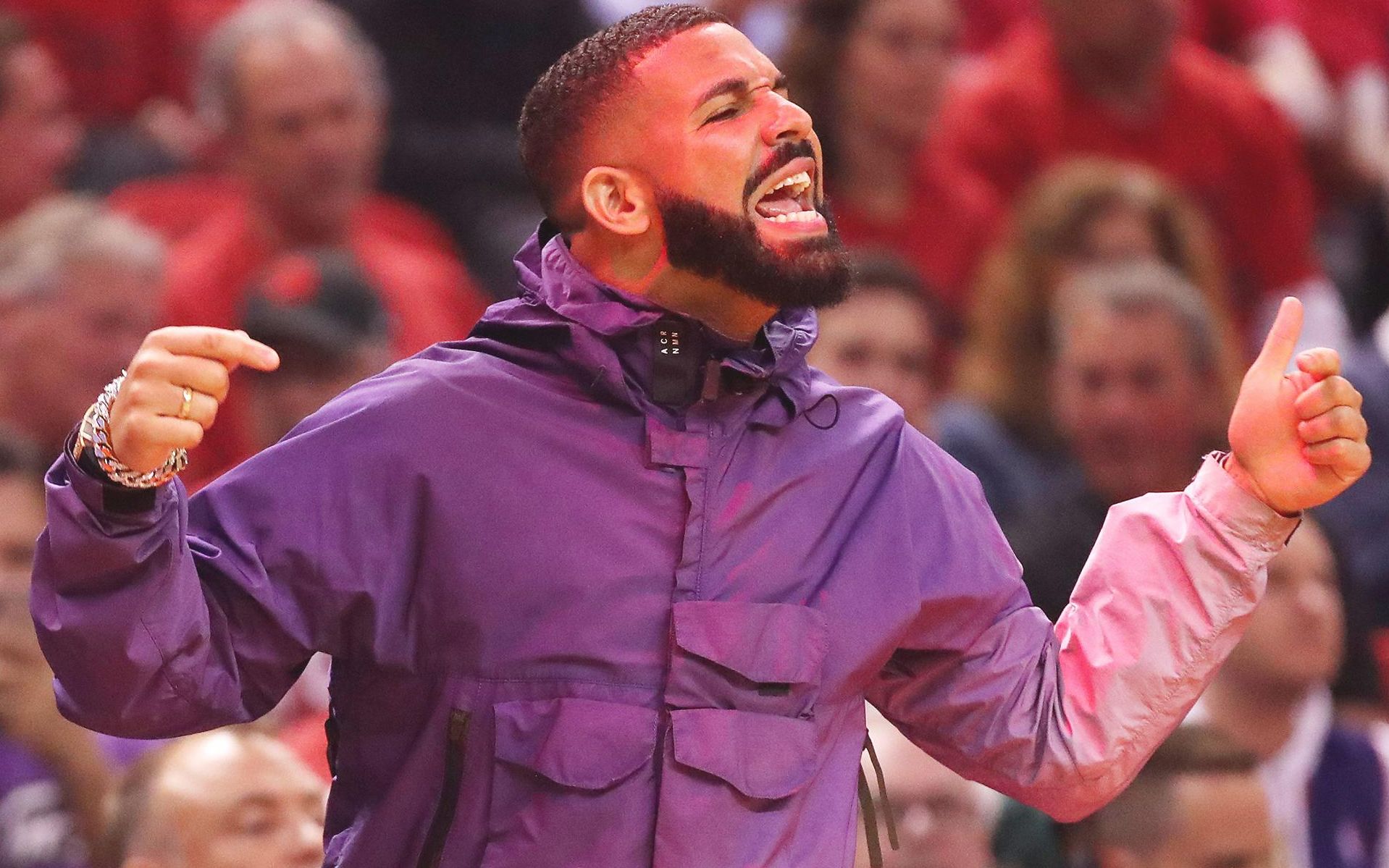 nba总决赛在即,请猛龙的形象大使注意形象!