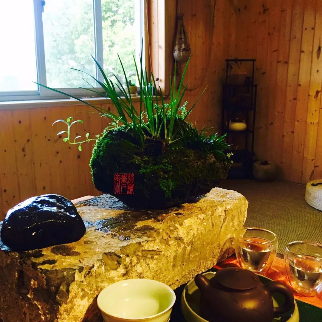 有个院子喝茶赏蒲