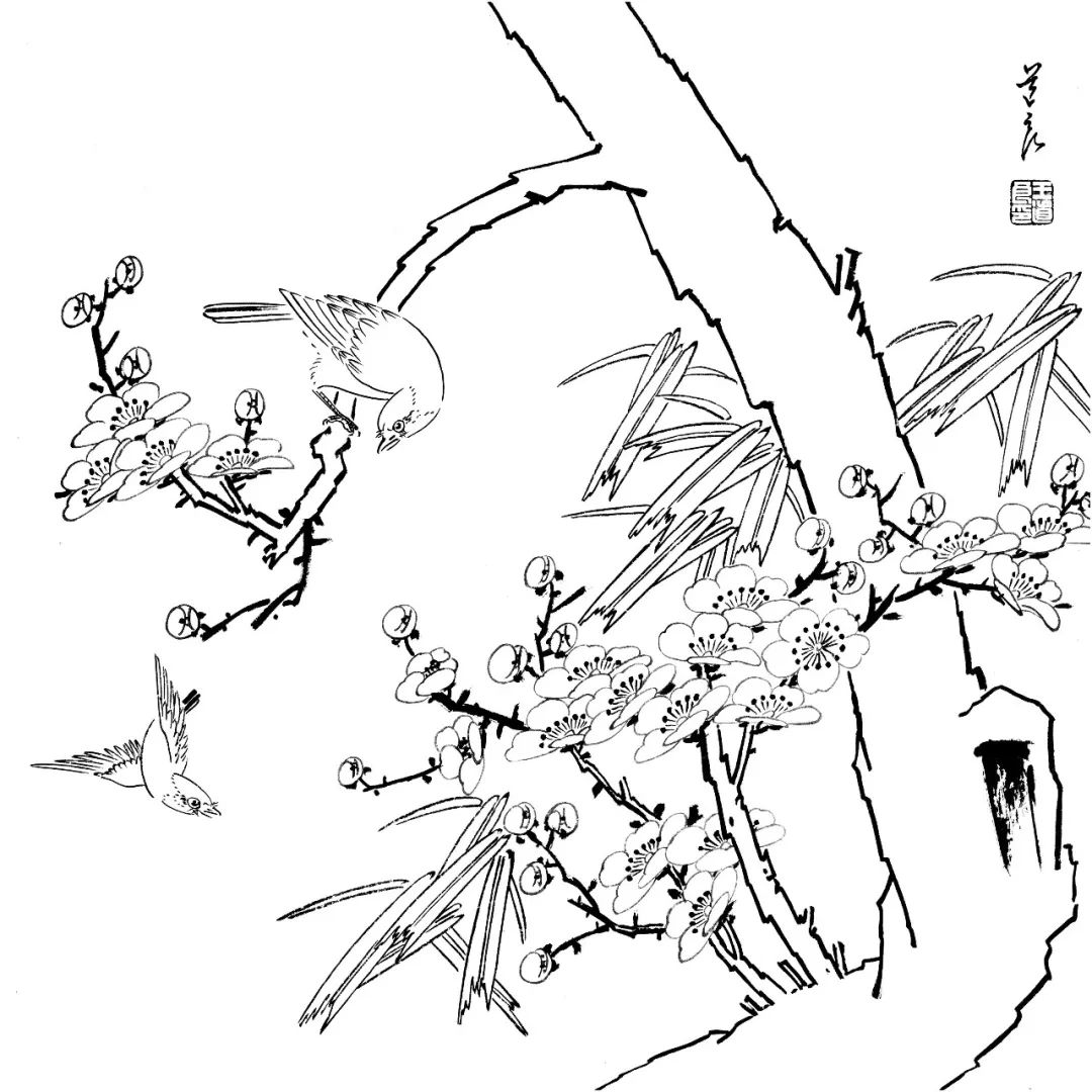 你想要的工笔花鸟白描线稿,都在这了!_国画